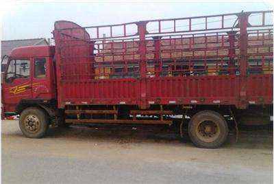 惠陽(yáng)至金門17米平板車出租，專業(yè)貨物運(yùn)輸解決方案